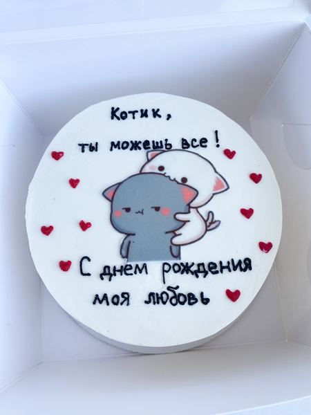 Бенто-торт с рисунком кота и надписью Котик ты можешь все